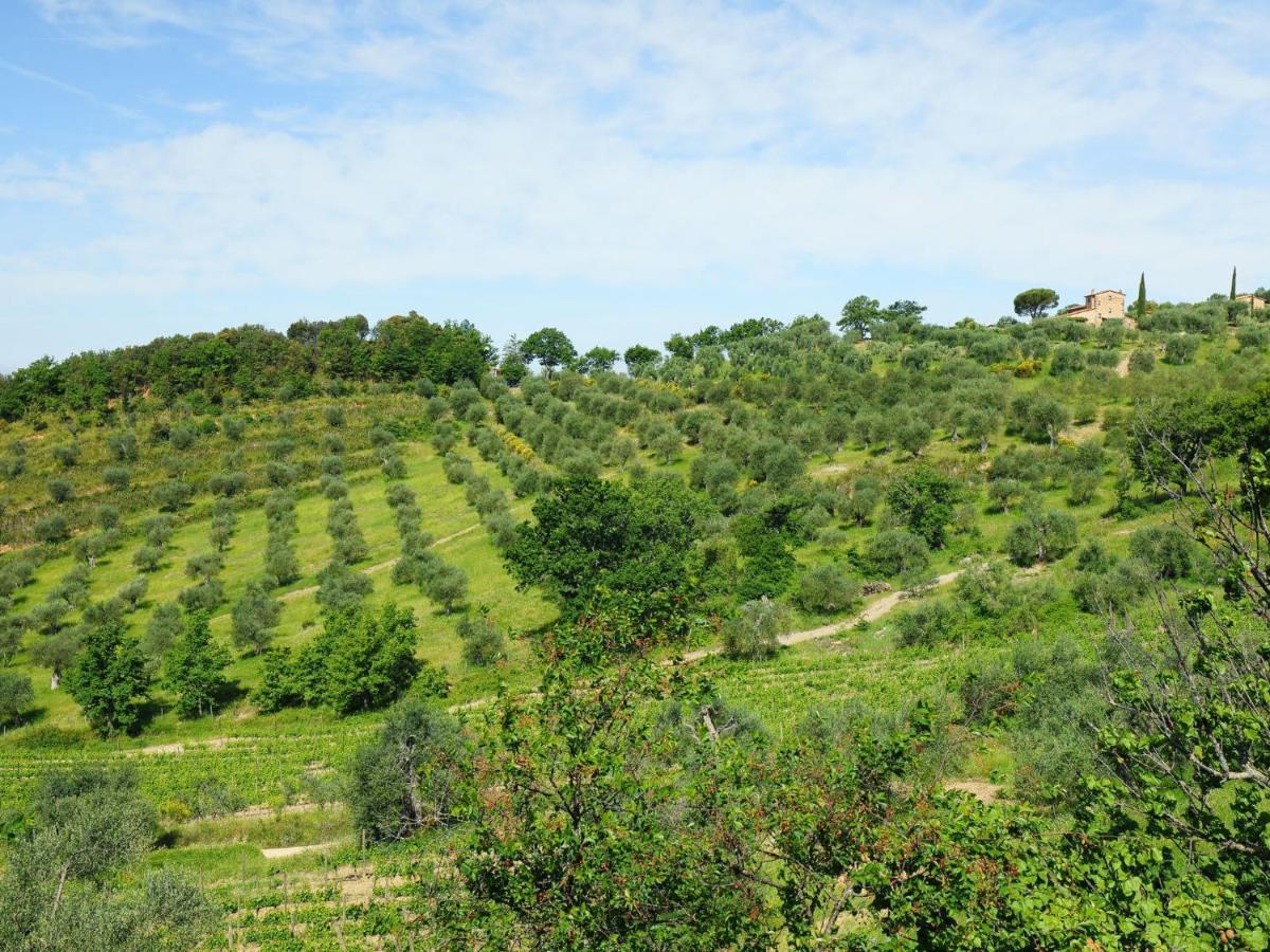 Holiday Home Poggio Velluto By Interhome Seggiano Extérieur photo